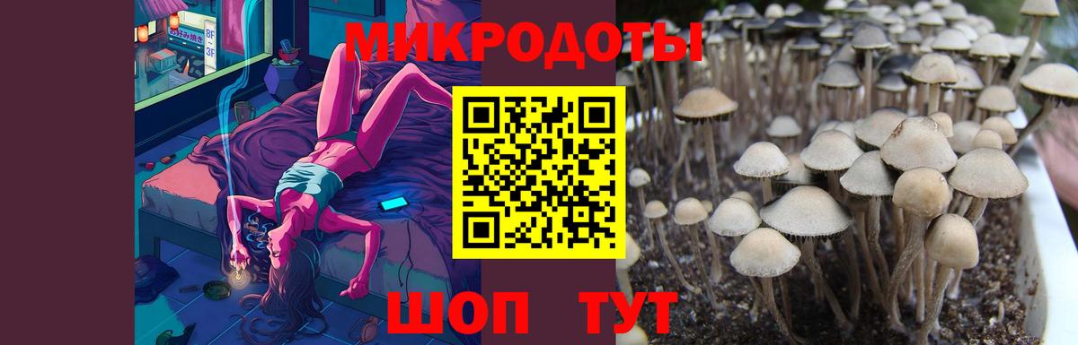 Биробиджан  Галлюциногенные грибы GOLDEN TEACHER  Вход с VPN 